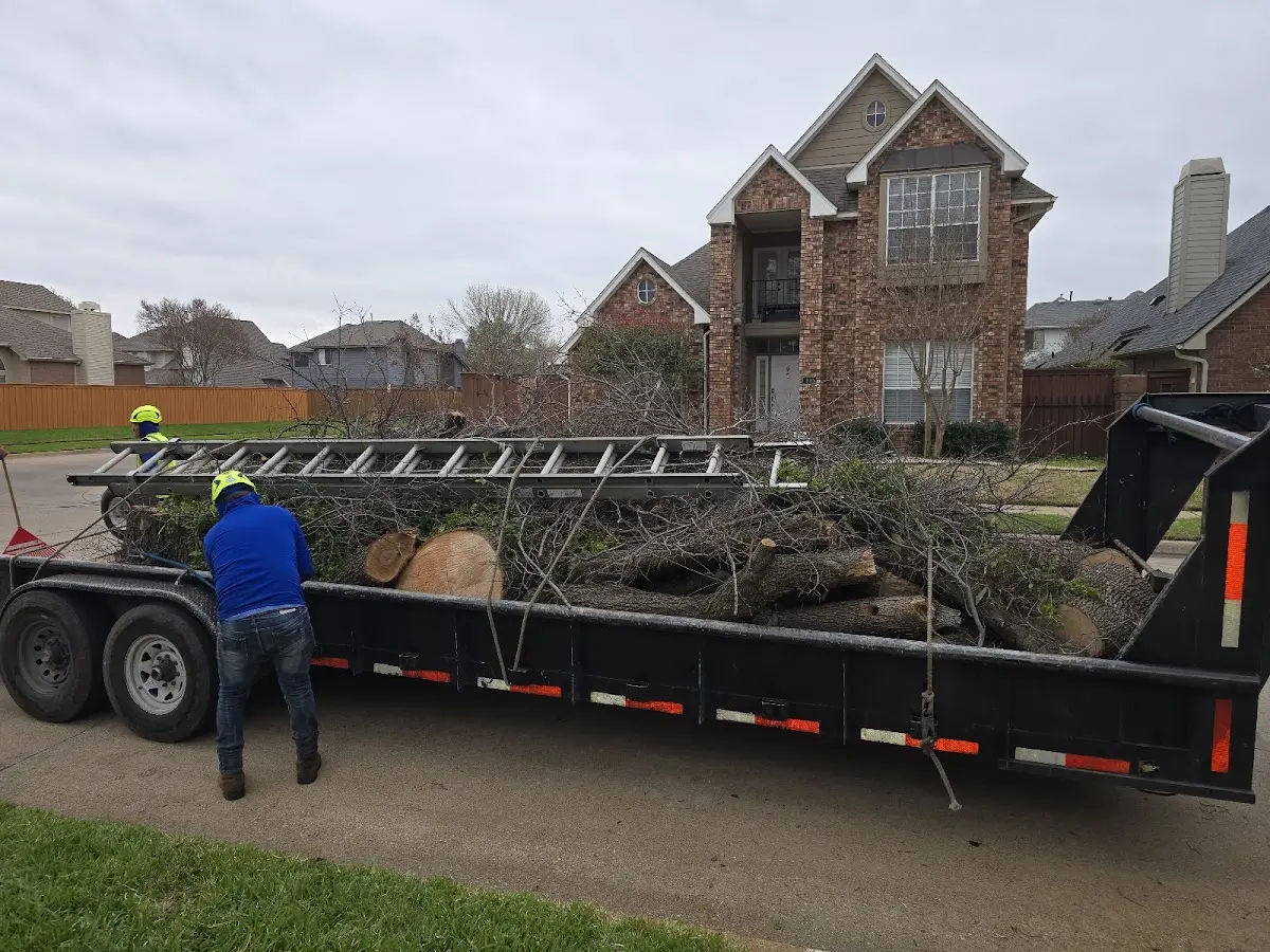Expert Tree Pest Control with proper safety equipment in Moriarty